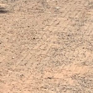 Meet your Posher, Harmony